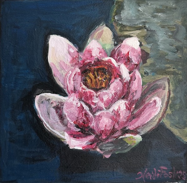 Lotusblomst