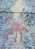 Flamingoer