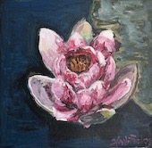 Lotusblomst